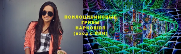 spice Алексин