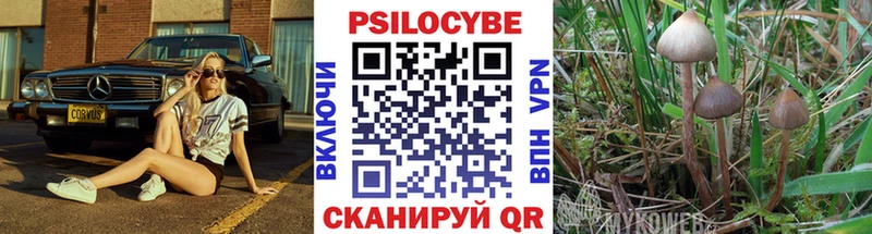 Псилоцибиновые грибы мицелий  даркнет сайт  Мураши 
